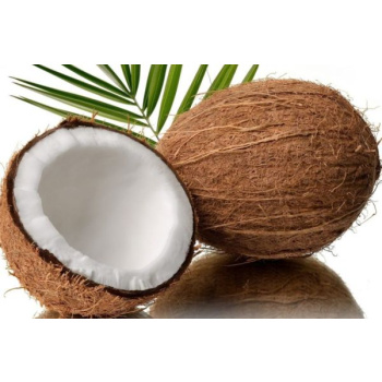 Coconut