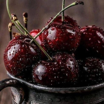 Black Cherry