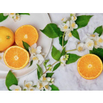 Orange and Flowers
