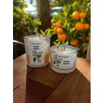 orange & flowers diplo