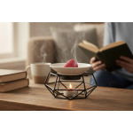 Μοντέρνος αρωματιστής